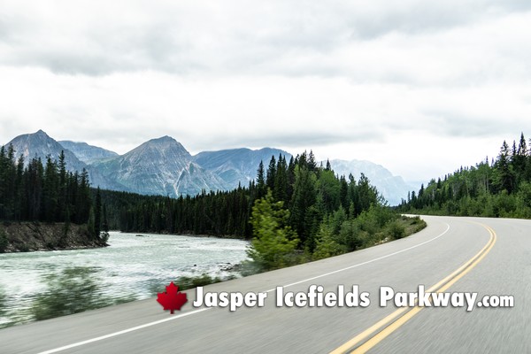 Jasper Icefields Parkway During August