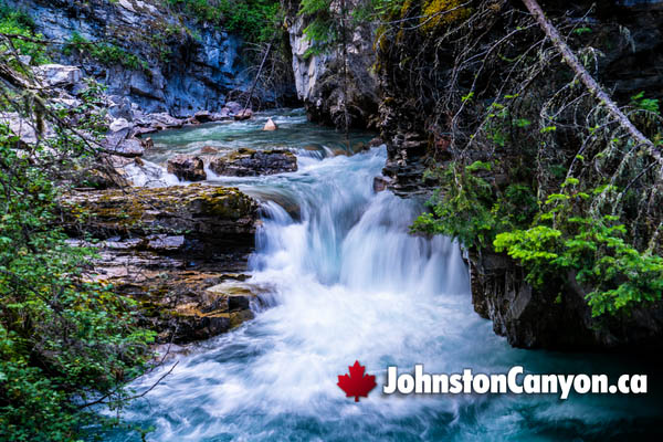 Johnston Canyon During August