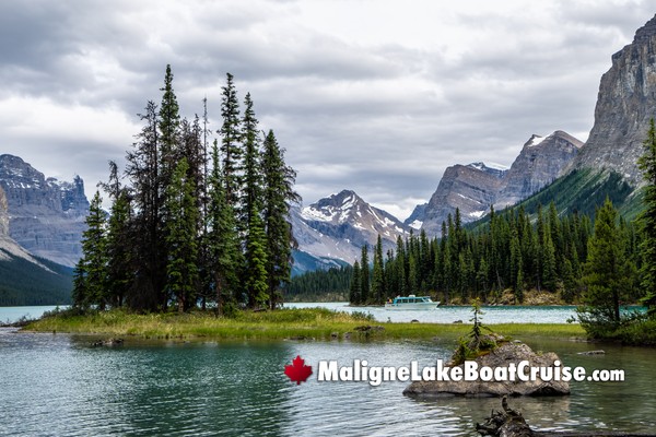 Jasper Maligne Lake Boat Cruise During August