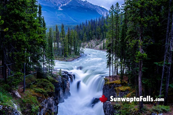 Sunwapta Falls in Jasper National Park in August